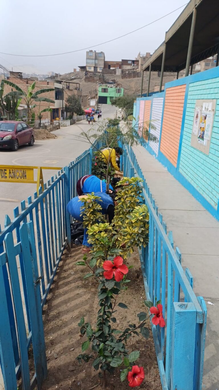 Mantenimiento del Jardín Frontal de I.E.I Jesús Amigo